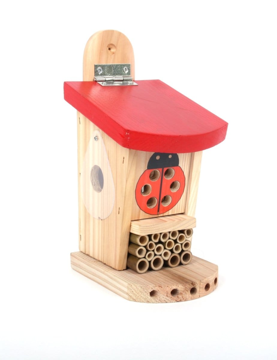 Mariehøne- og insekthytte 'Ladybird & Insect Lodge' - Blomsterverden